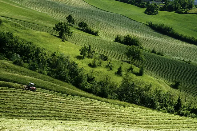 Paisaje agrícola 2 — Badajoz