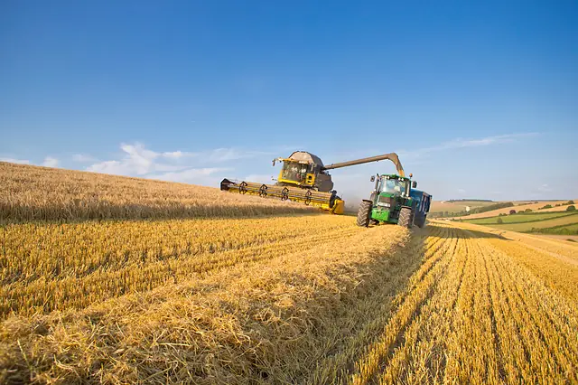 Paisaje agrícola 3 — Badajoz