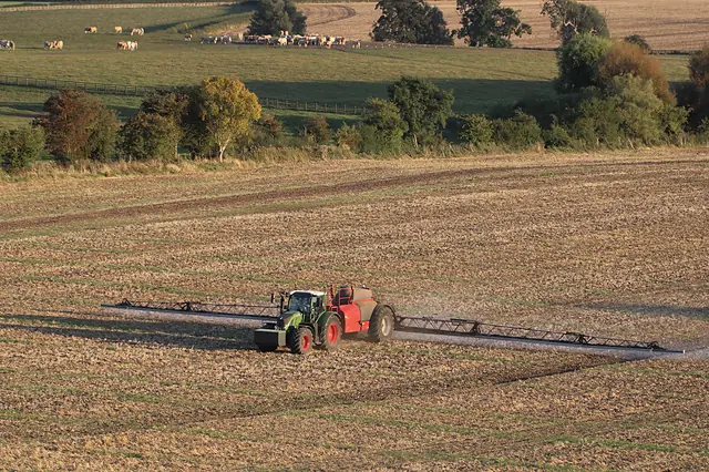 Paisaje agrícola 4 — Badajoz