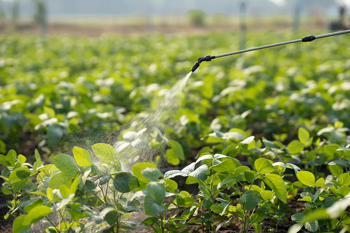 Campos de cultivo en Arroyo de San Serván, Badajoz