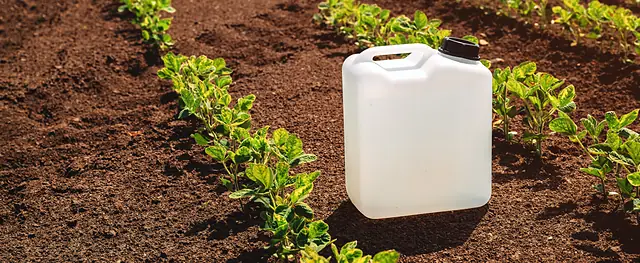 Paisaje agrícola 6 — Badajoz