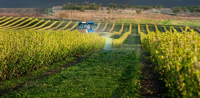Paisaje agrícola 10 — Badajoz