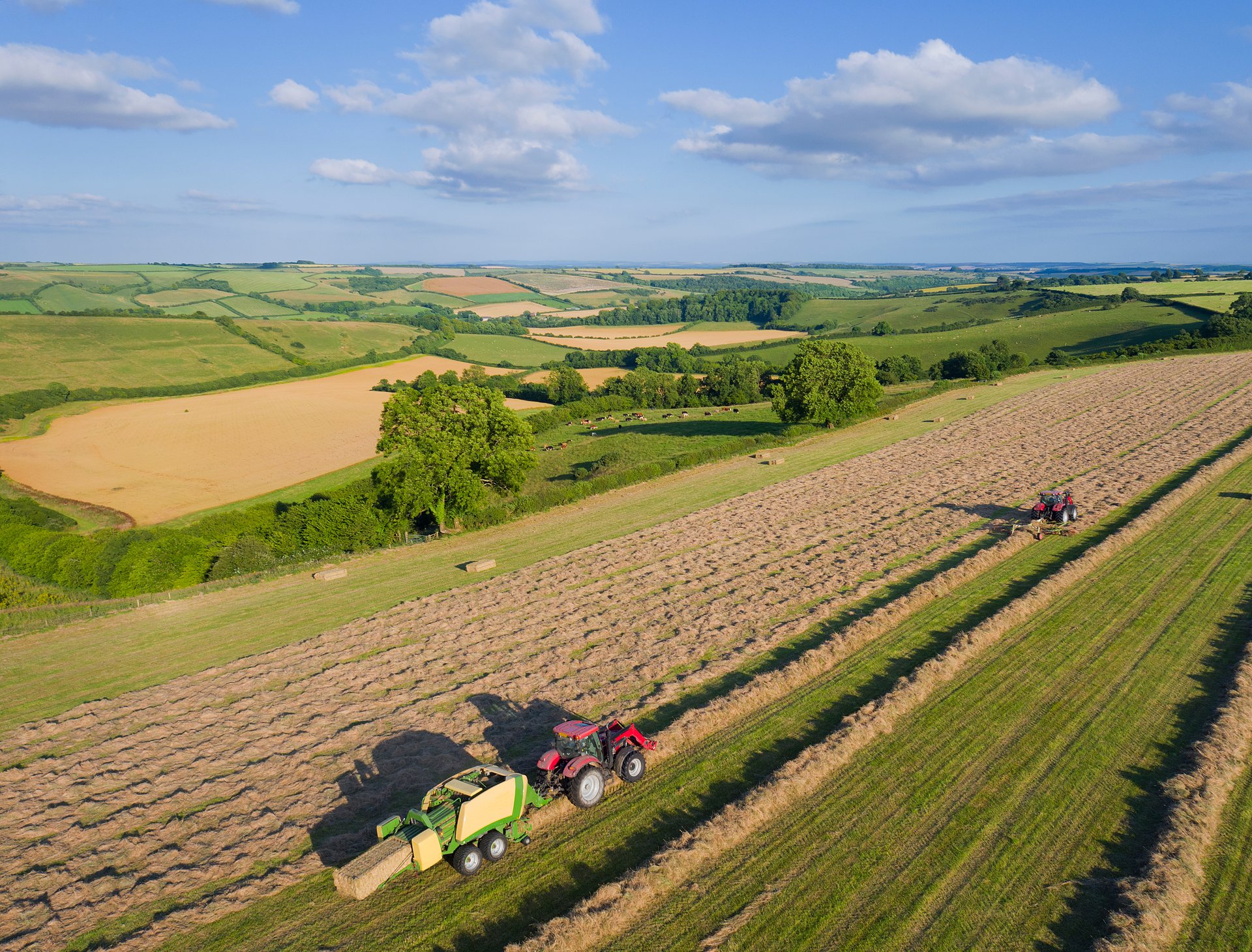 Campos agrícolas en Extremadura al atardecer